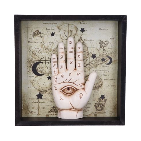 Palmistry Companion Framed Chiromancy Wall Mounted Art