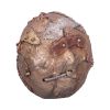 Bronze Scrapped Skull Steampunk Scrap Skeleton Figurine