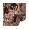 Bronze Scrapped Skull Steampunk Scrap Skeleton Figurine