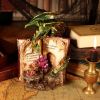 Hoard Finders Dragon with Book Crystal Figurine