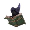 Kitty's Grimoire Figurine in Green 8.2cm