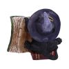 Kitty's Grimoire Figurine in Green 8.2cm