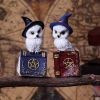 Avian Spell (Blue) 12.5cm