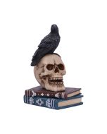 Flight of the Raven Wall Hanging Decoration
