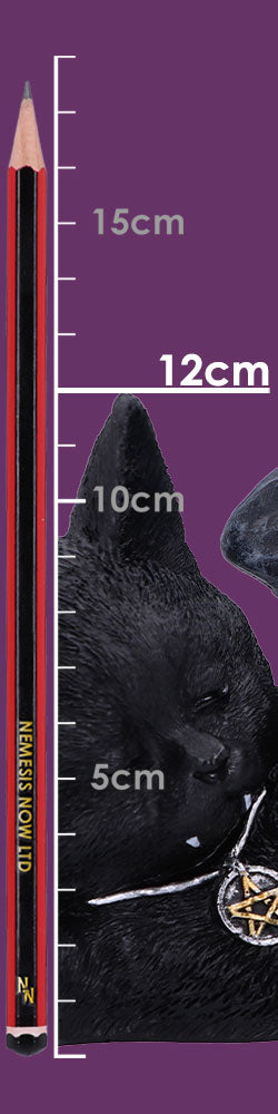 Cat Nap Vampire Cat Figurine 18cm