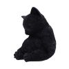 Daydream Sleeping Black Cat Figurine 13cm
