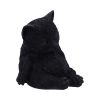 Daydream Sleeping Black Cat Figurine 13cm
