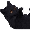 Familiar Helper Black cat Mobile Phone Holder 12.5cm