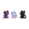 Little Hordlings Cute Baby Dragonling Figurines (Set of 3) 7cm