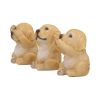 Three Wise Golden Labradors Figurines (Set of 3)