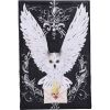 Owl Messenger Trinket Box
