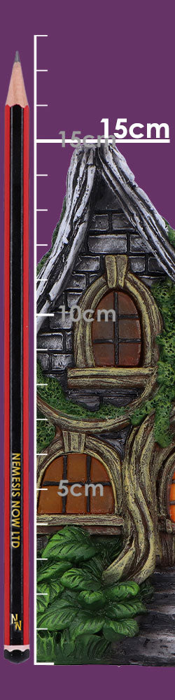 Curly Oak Manor 15cm