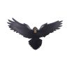 Flight of the Raven Wall Hanging Decoration