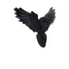 Flight of the Raven Wall Hanging Decoration