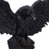 Flight of the Raven Wall Hanging Decoration