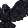 Flight of the Raven Wall Hanging Decoration