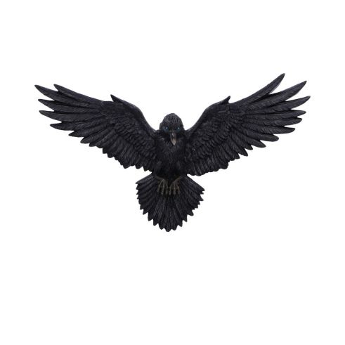 Flight of the Raven Wall Hanging Decoration