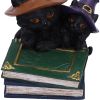 Duo Divination Witches Cat Figurine
