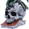 Ignisars Rule Resin Dragon Figurine
