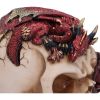 Rose Flame Decorative Skull With Sleeping Dragon