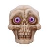 Eyes Wide Open (Pink) Decorative Resin Skull