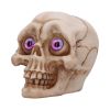 Eyes Wide Open (Pink) Decorative Resin Skull