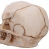 Eyes Wide Open (Pink) Decorative Resin Skull