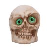 Eyes Wide Open (Green) Decorative Resin Skull