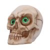 Eyes Wide Open (Green) Decorative Resin Skull