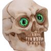 Eyes Wide Open (Green) Decorative Resin Skull
