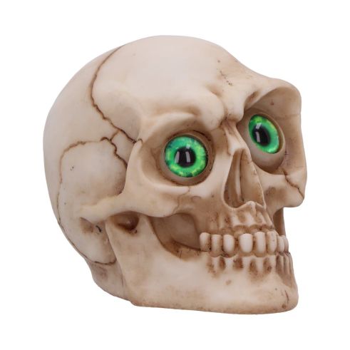 Eyes Wide Open (Green) Decorative Resin Skull