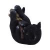 Magical Mischief Decorative Resin Cat Figurine