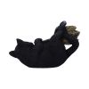 Magical Mischief Decorative Resin Cat Figurine