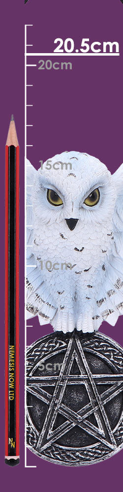 Owl Talisman Hanging Decoration