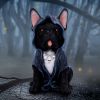 Grim Reaper Dog Figurine 27.5cm