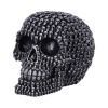 Crania Decorative Resin Skull