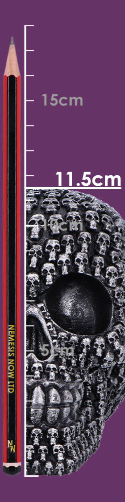 Crania Decorative Resin Skull