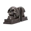 Celtic Tale Resin Bookends