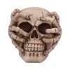 Cracked Decorative Resin Skull