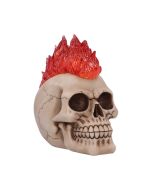 Electro (Medium) (Pack of 6)