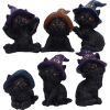 Coven Keepers (Replacement Cats 12pcs)
