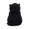 Whisker Wish Black Cat Figurine
