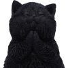 Whisker Wish Black Cat Figurine