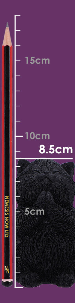 Whisker Wish Black Cat Figurine