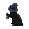 Witch Cat Lantern Figurine