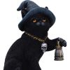 Witch Cat Lantern Figurine