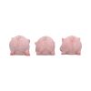 Three Wise Playful Pigs 5.2cm