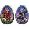 Blooming Brood Set of 4 Dragon Egg Figurines 9cm