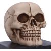 Final Chapter Skull Bookends 13.5cm