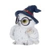 Archimedes Owl Figurine 7cm